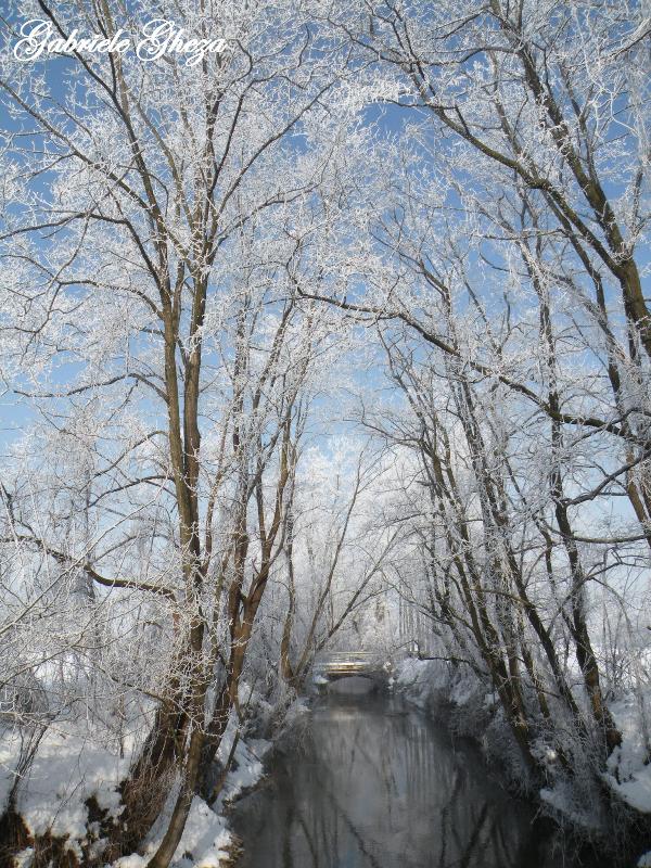 Omaggio all''Inverno che se ne va...